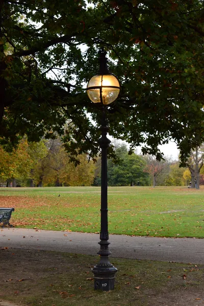 DSC_0666 (Large).JPG